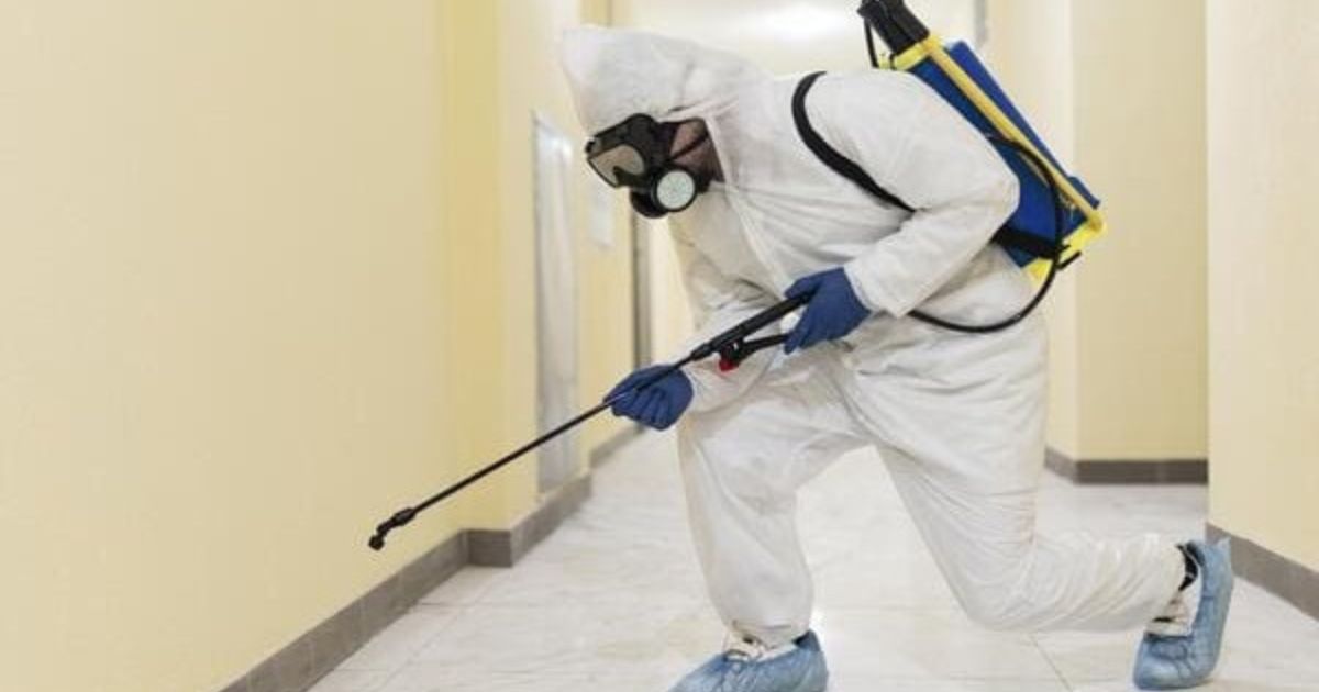 Jesienna deratyzacja – kompleksowa ochrona przed gryzoniami